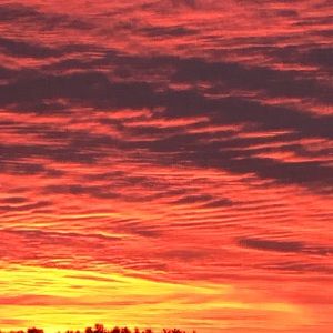 Meet your Posher, Leanne